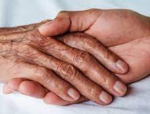 Palliative Care Orientation 2019